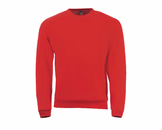 Men's round-neck sweatshirt 