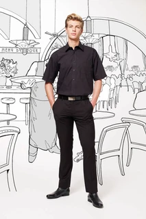 Mens Short Sleeve Poplin Shirt