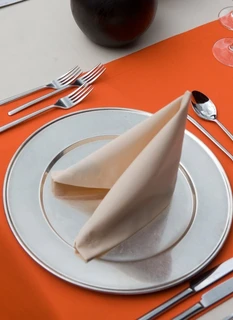 Napkin Arezzo Classic 37 x 37