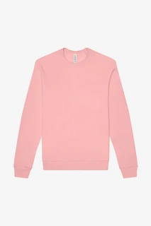 3901- Unisex Sponge Fleece Raglan Sweatshirt