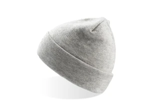 Pier Thinsulate Beanie