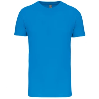 Men's BIO150IC crew neck T-Shirt