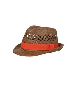 Summer Style Hat