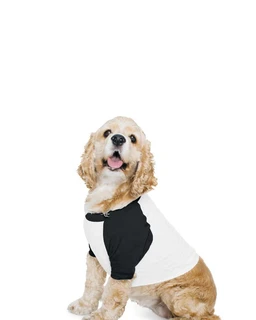 Dog Poly-Cotton 3/4 Sleeve Raglan T-Shirt