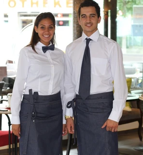 Non-iron Longsleeve Blouse Scerni Lady