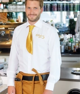 Mens Non-iron Shirt Brindisi Man